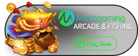 MicroGaming